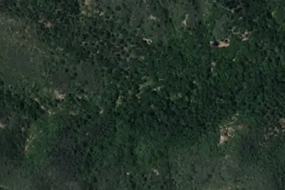 Balm of Gilead Campground