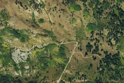 Camp site