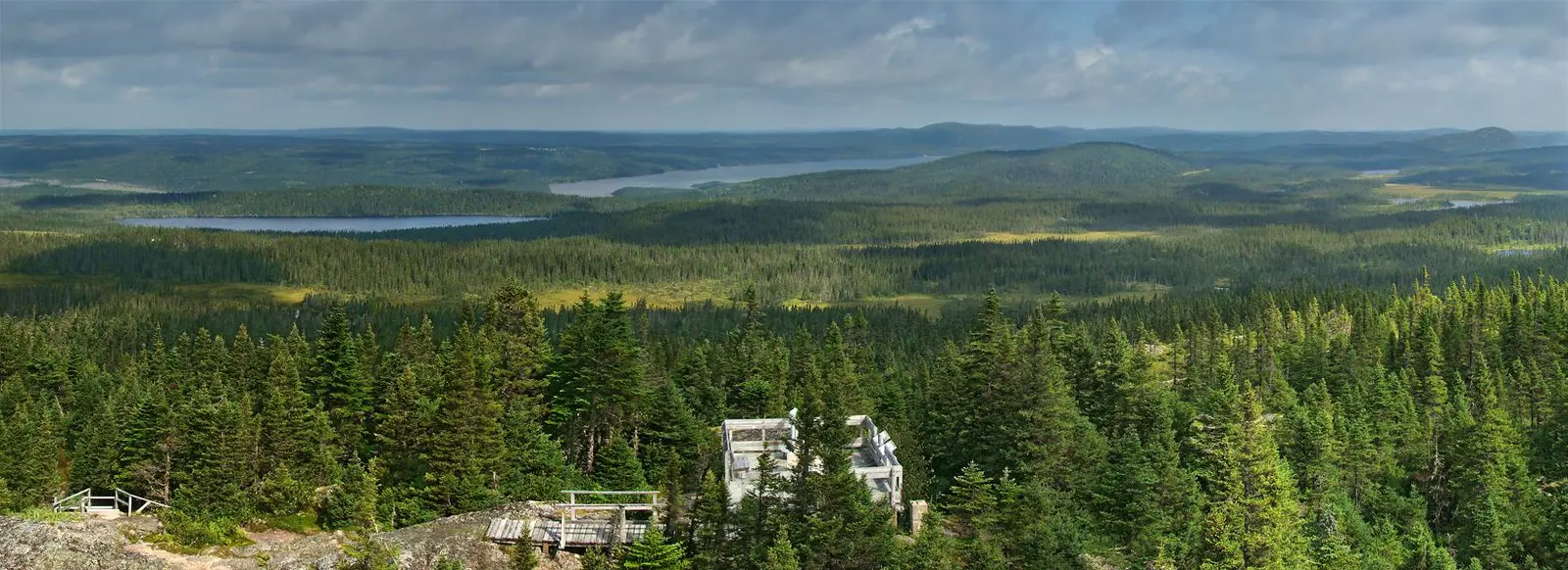 Photo of Terra Nova National Park
