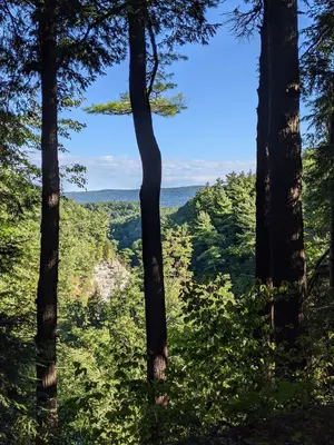 StonyBrookStatePark2020GorgeFromWestRimTrailB