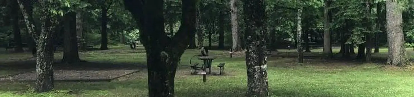 view of walk-up campsites