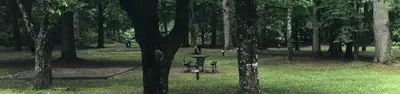 Deep Creek Campground (NC)