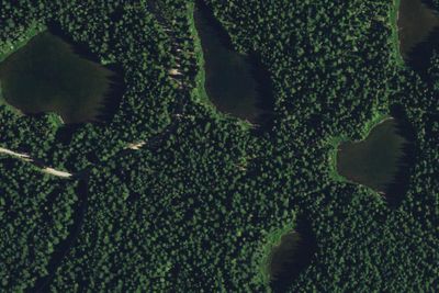 Forlorn Lakes Campground: Sites 4-8