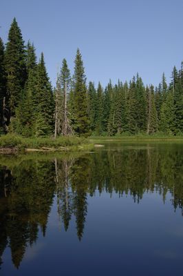 Forlorn Lake Reflections-Gifford Pinchot (23823070832)