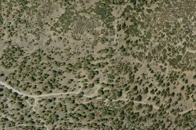 Coon Creek Yellow Post #2