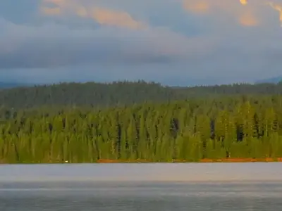 Looking out from Oak Fork at Timothy Lake