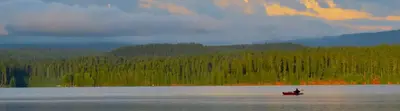 Oak Fork Campground (Timothy Lake, OR)