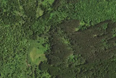 Camp site