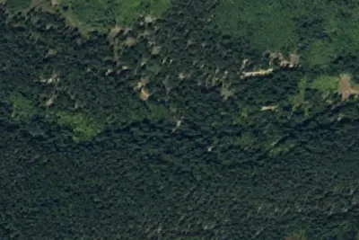 Camp site