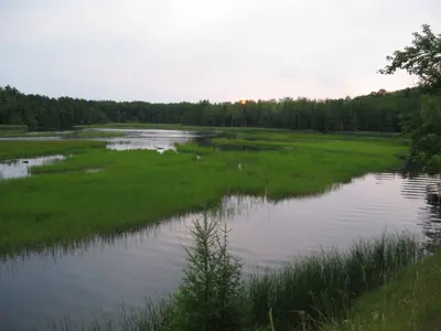 AuSable Campsite 84 - panoramio