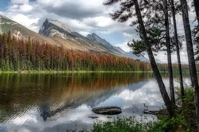 Honeymoon Lake - Flickr - Bernd Thaller