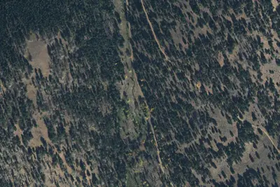 Aspen