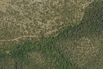 Camp site