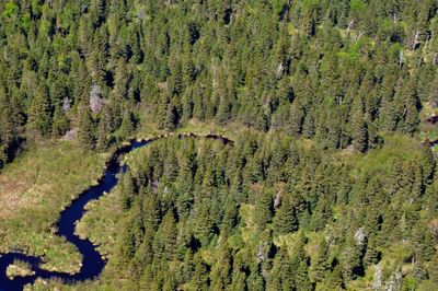 Washington Creek Campground