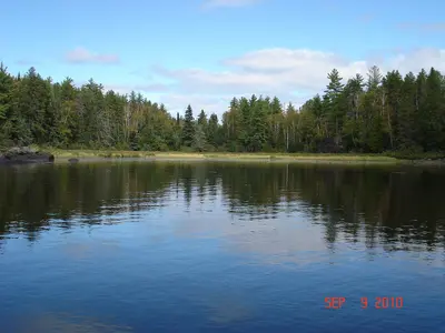 Lake One, Ely, MN - panoramio (4)