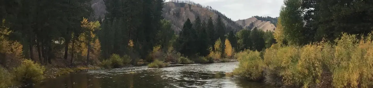 River downstream from campground