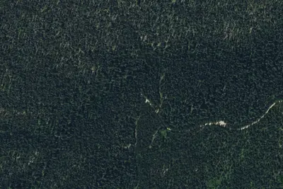 Coal Gulch Rd-004