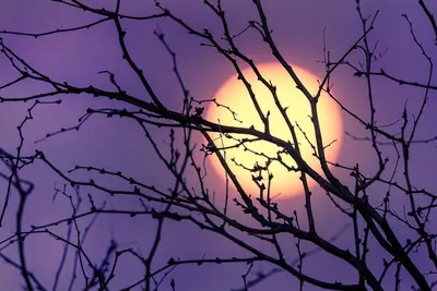 Waning Gibbous Moon In St. David AZ