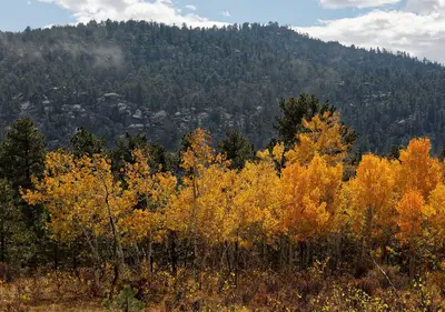 Mount Margaret Trail 10-3 (21820716310)