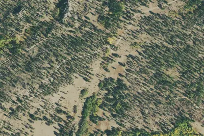 U.S. Forest Service Site 5