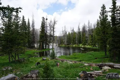 Trial Lake Campground