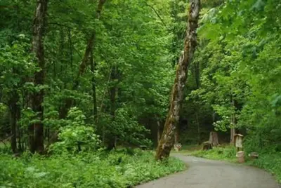 Blue Lake Creek Campground