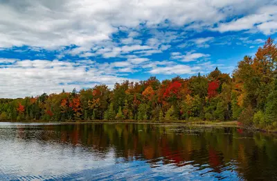 Henry Lake Fall Colors - Autumn at Ottawa National Forest, Upper Peninsula, Michigan (29936917032)