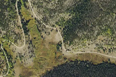 Camp site