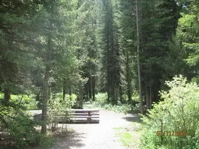 Campsite surrounded by pine trees,  picnic table & fire ring