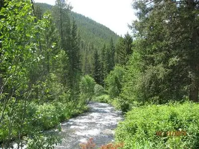Swan Creek Campground