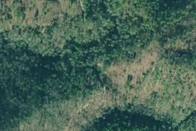 Camp site