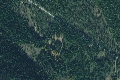 Tamarack 002f