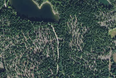 903-23 Elk Area