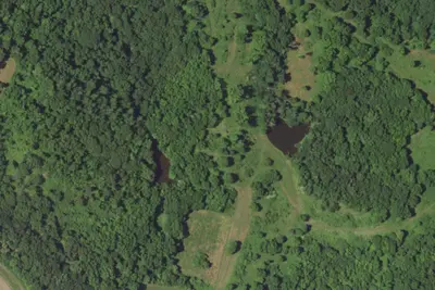 Camp site (Missouri Department of Conservation)