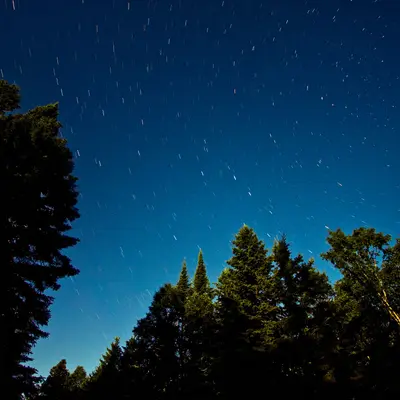 Stars (2684374264)
