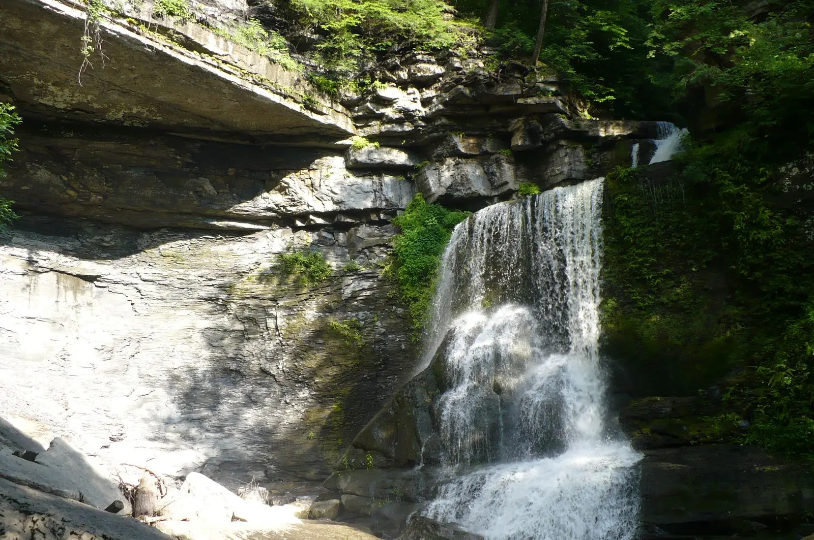 Photo of Fillmore Glen State Park