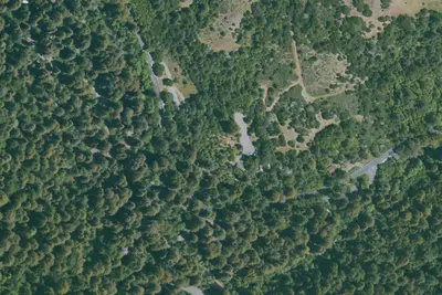 Madrone Group Campsite