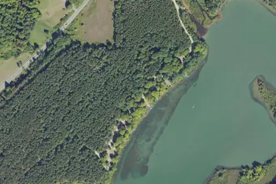 Fletcher Creek (Primitive)