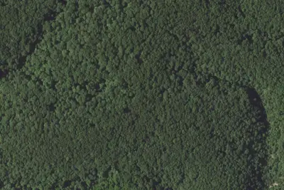 Camp site