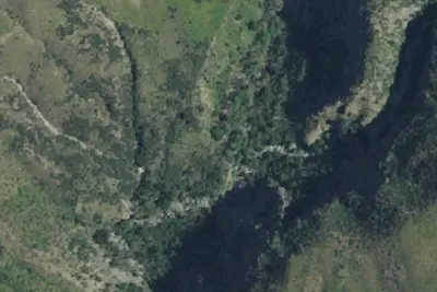 Jackson Camp
