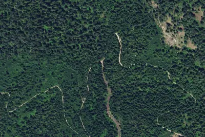 Nf677rd_001