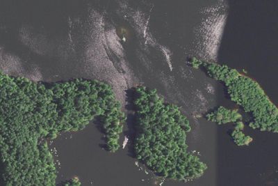Dolly Island