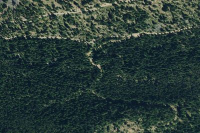 Soda Springs-02