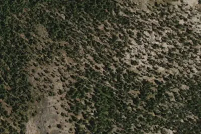 Miningtown Meadow