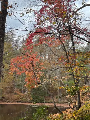 JR-10-30-23-taylorpond2