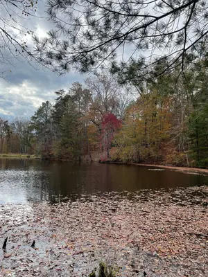 JR-10-30-23-taylorpond