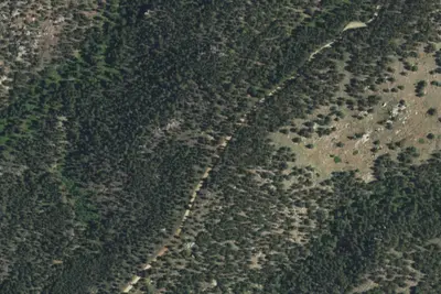 Harris Park Camp 1