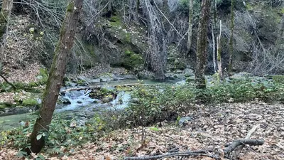 Crystal Creek Primitive Campground