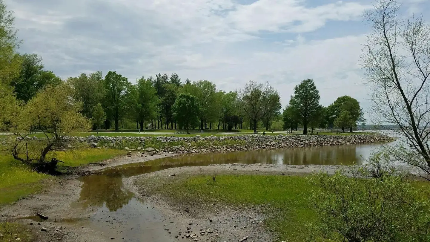 Coles Creek Campground, Carlyle Lake, Illinois