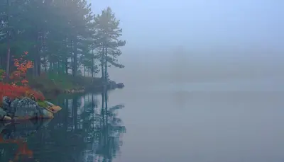 Acid Lake (1584719480)